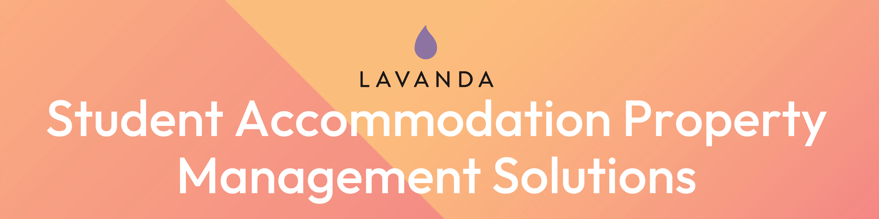 Lavanda